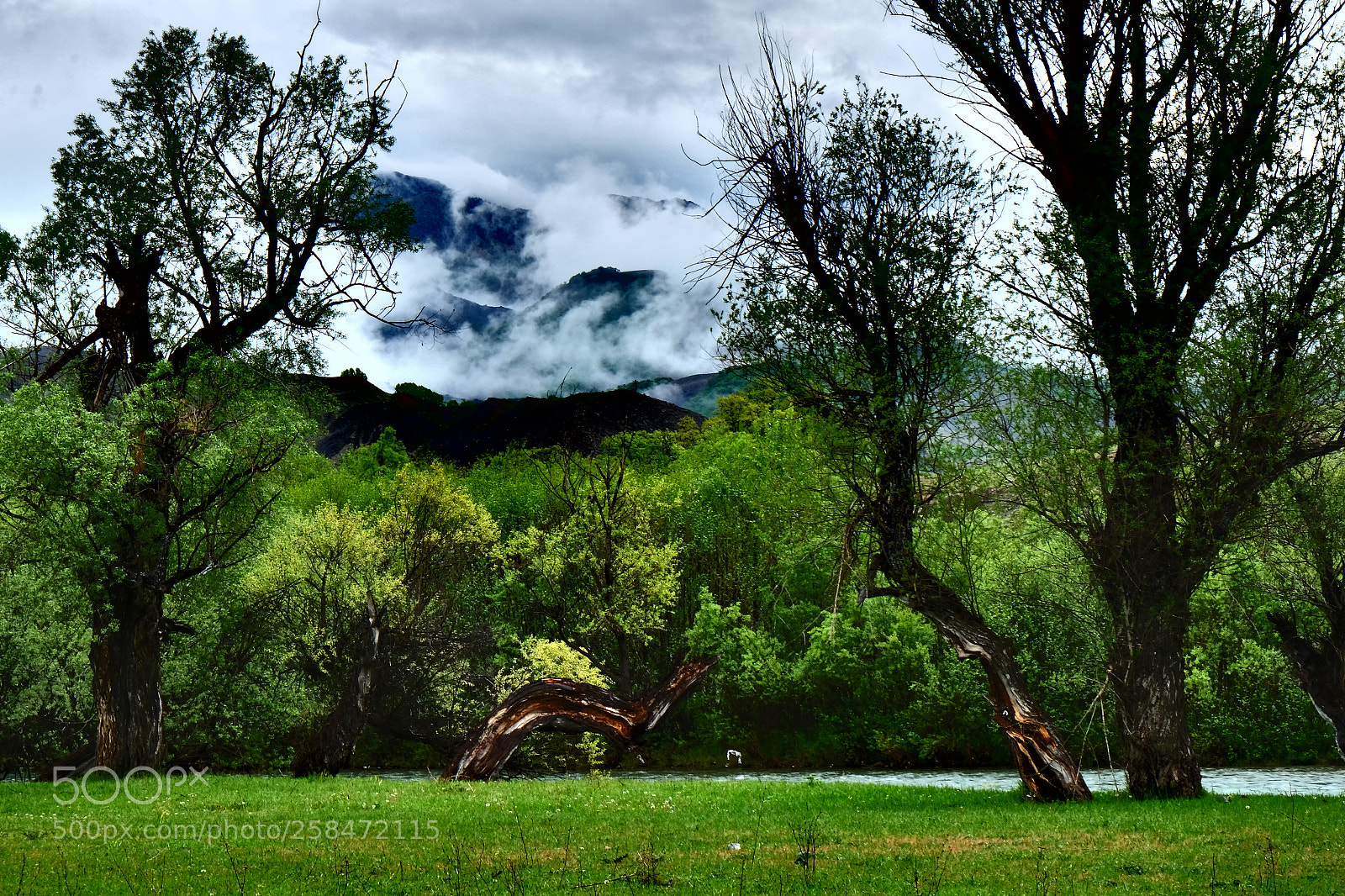 Fujifilm X-E2 sample photo. Fantastic clouds- munzur valley photography