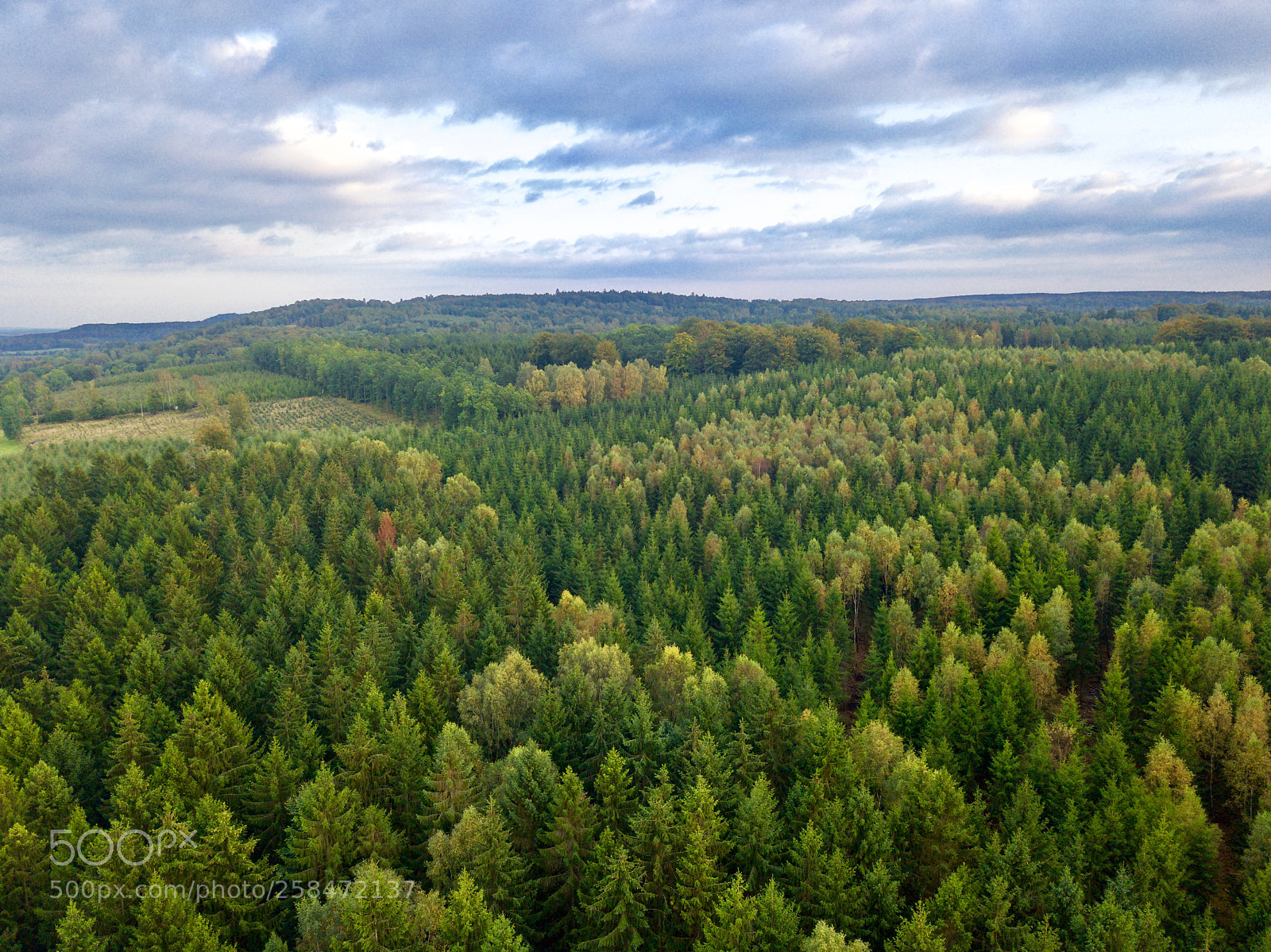 DJI FC220 sample photo. Aerial view over swedish photography