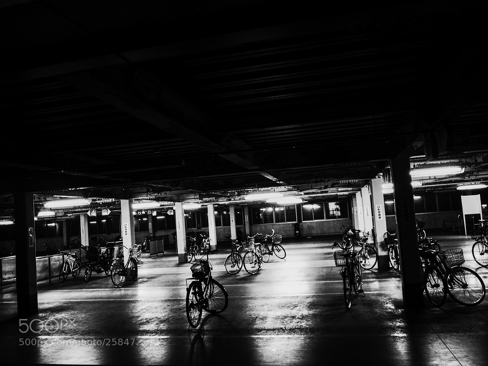Ricoh GR II sample photo. Untitled photography