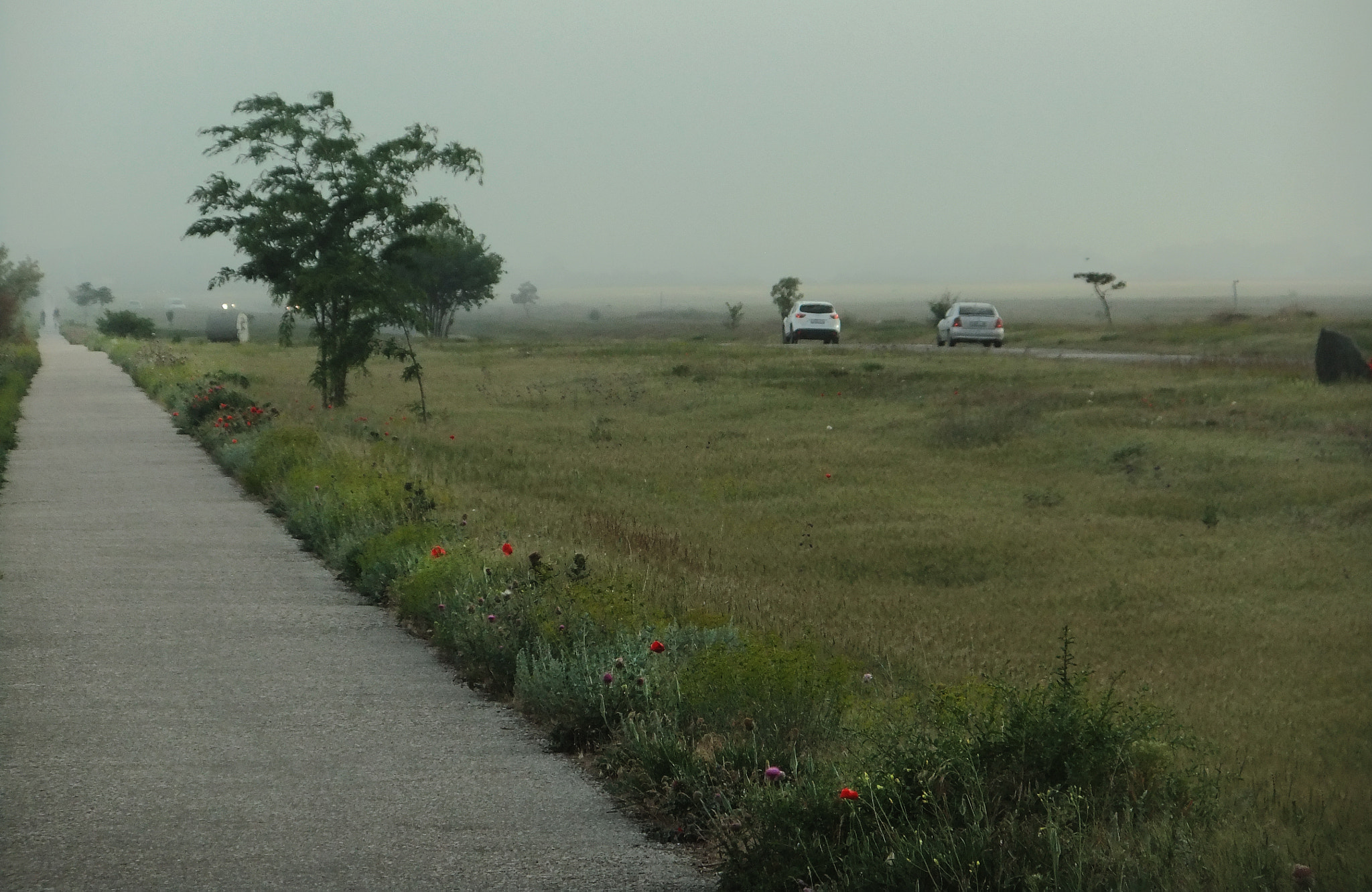 FujiFilm FinePix JZ500 (FinePix JZ505) sample photo. Countryside landscape photography