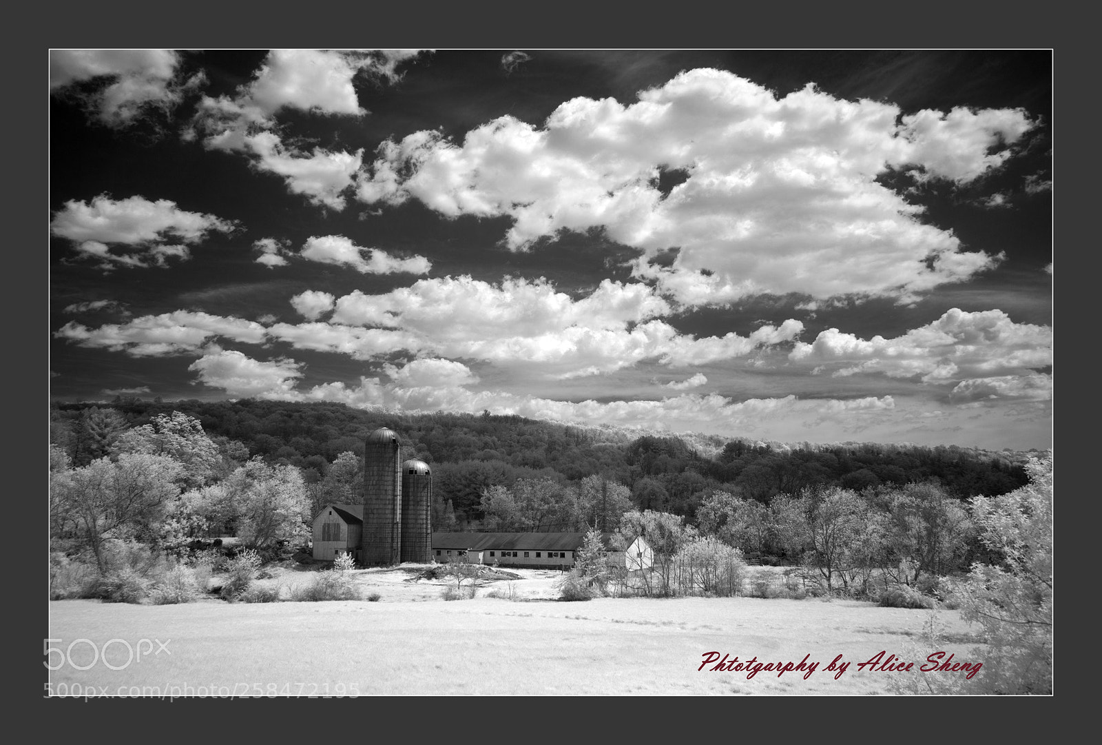Nikon D610 sample photo. B&w photography
