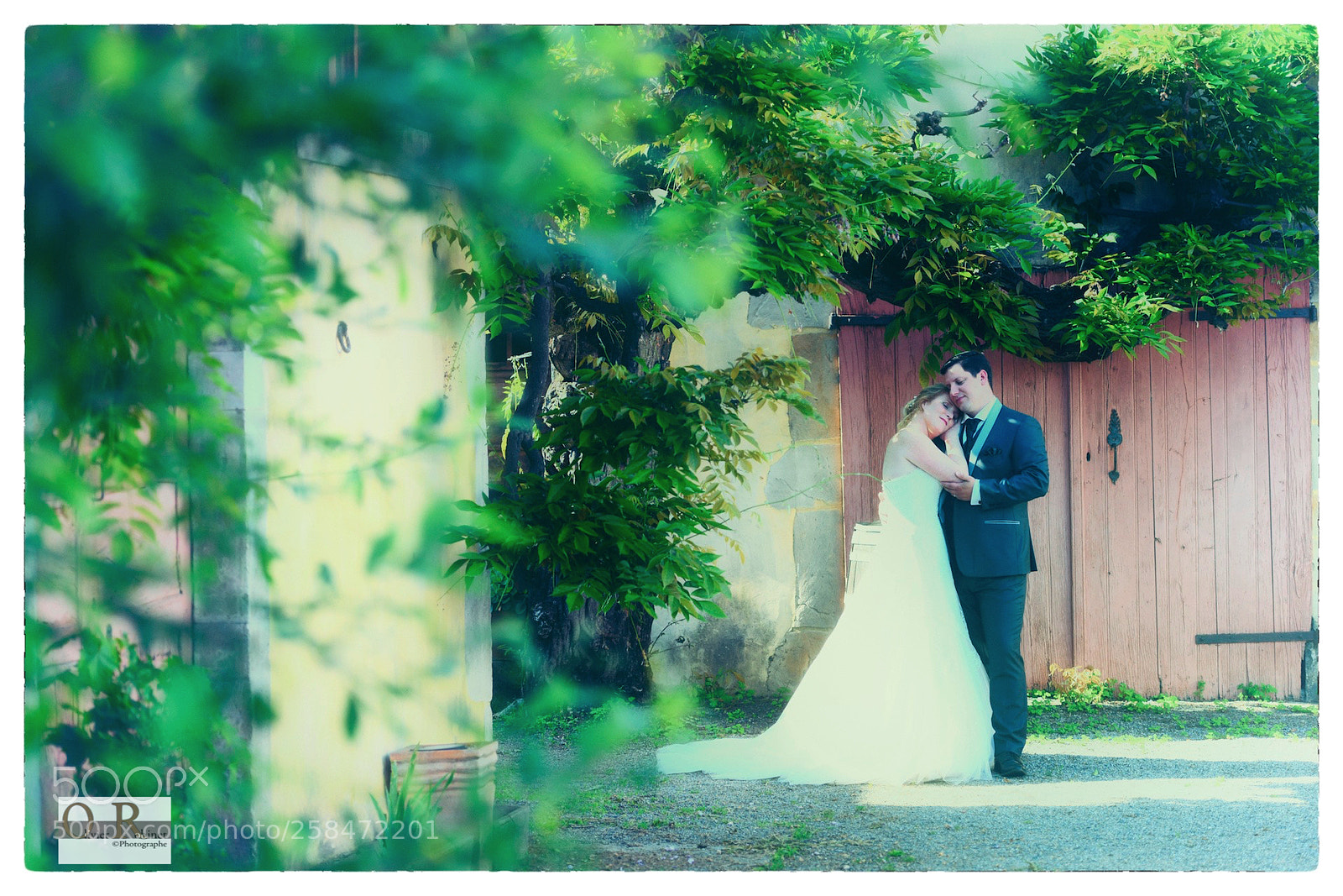 Nikon D850 sample photo. Solène & christian photography