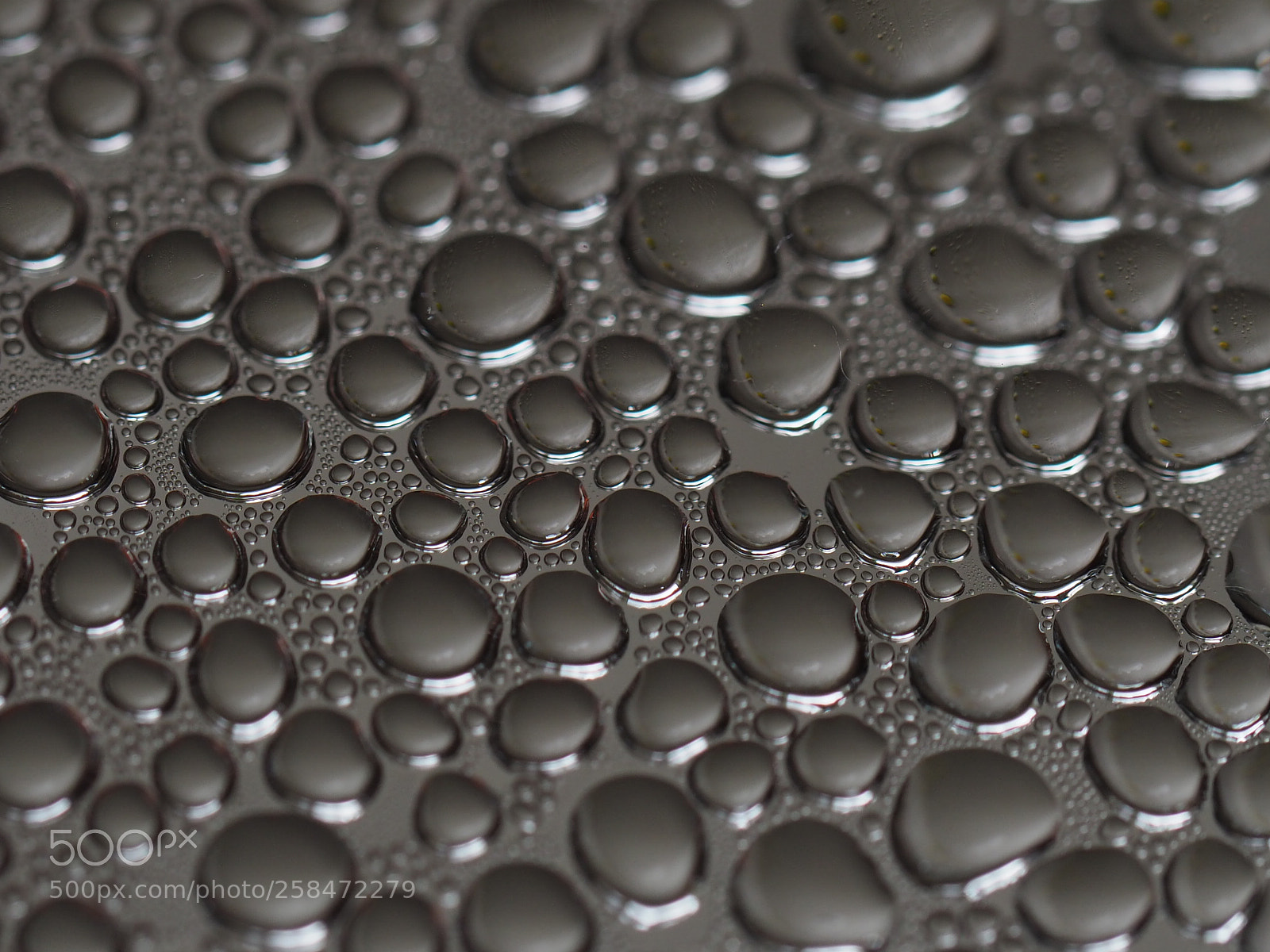Olympus OM-D E-M1 Mark II sample photo. Condensation photography