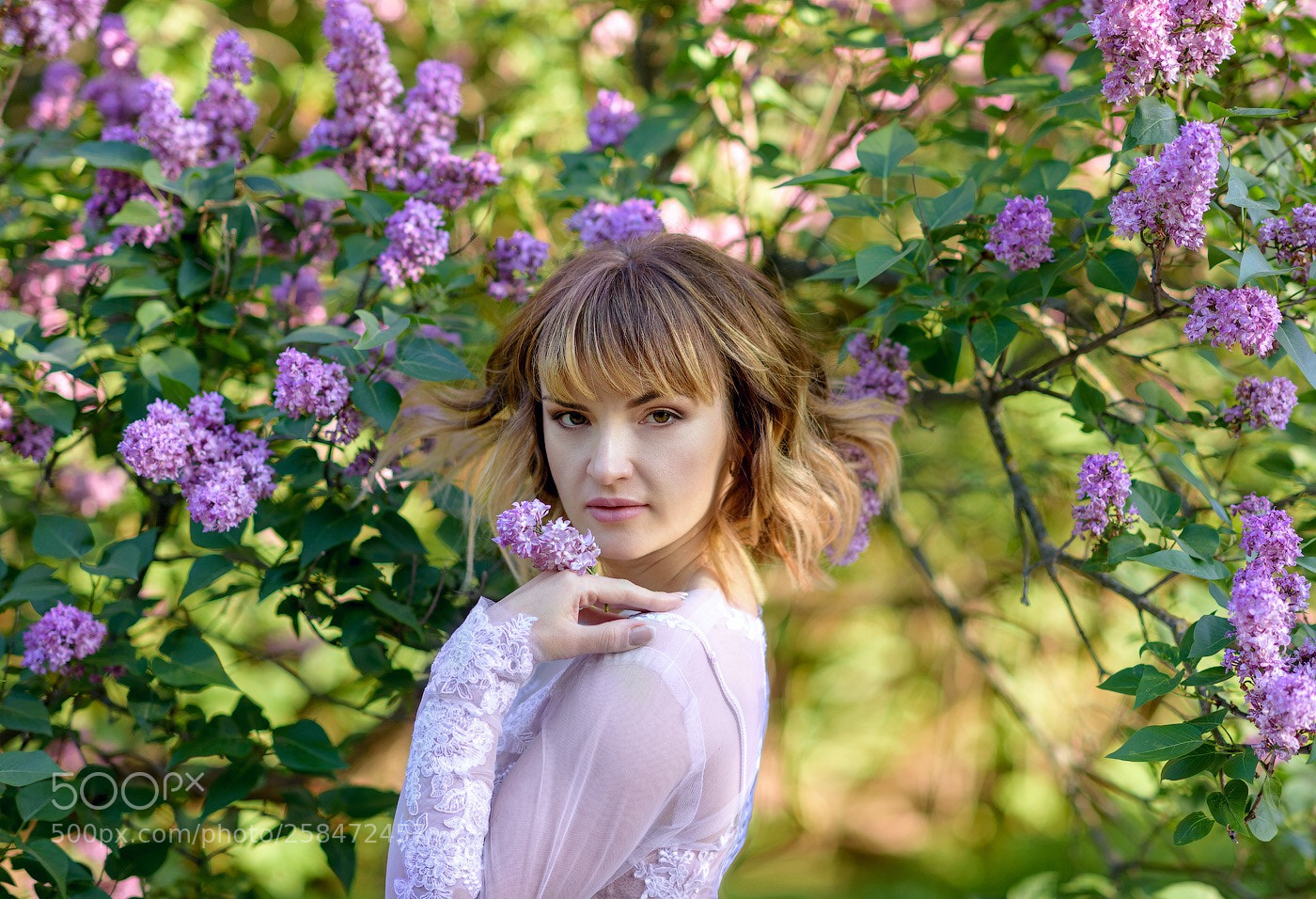Nikon D810 sample photo. Untitled photography