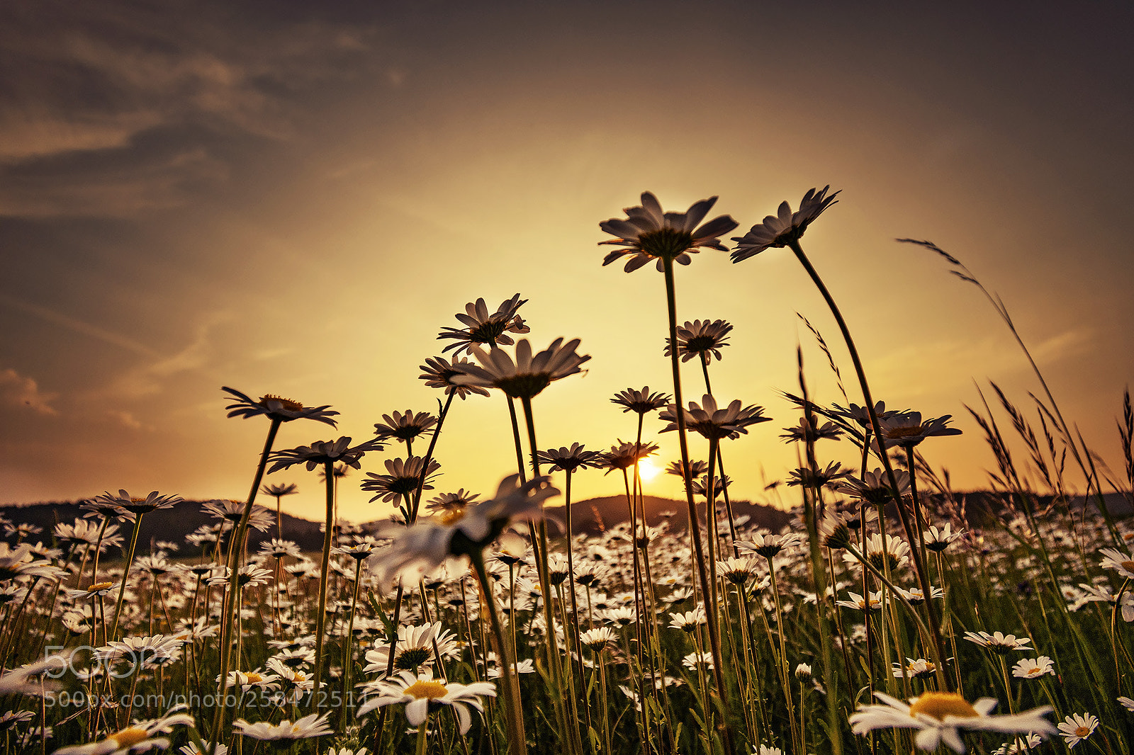 Nikon D7500 sample photo. Sunset photography