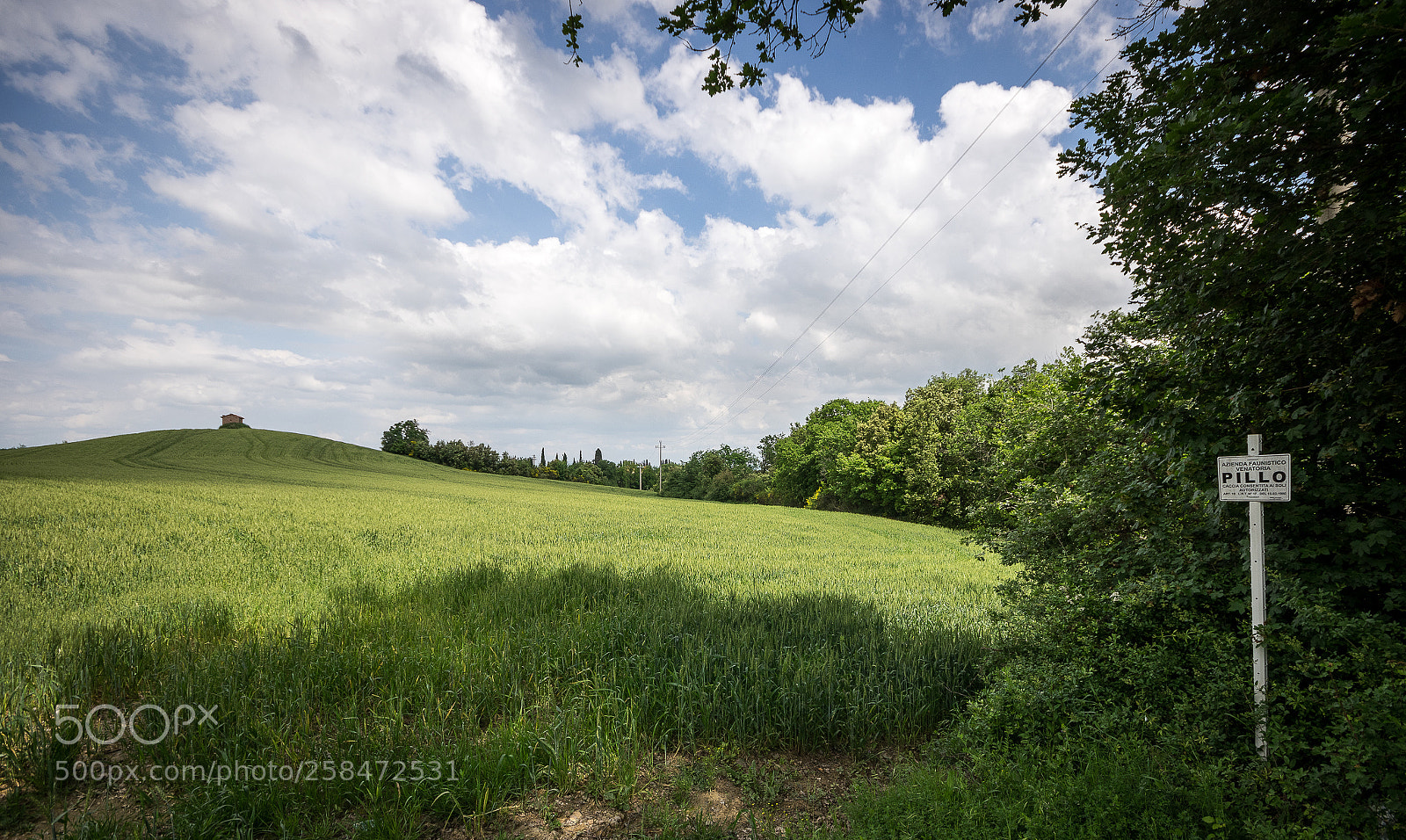 Pentax K-3 sample photo. Pillo photography