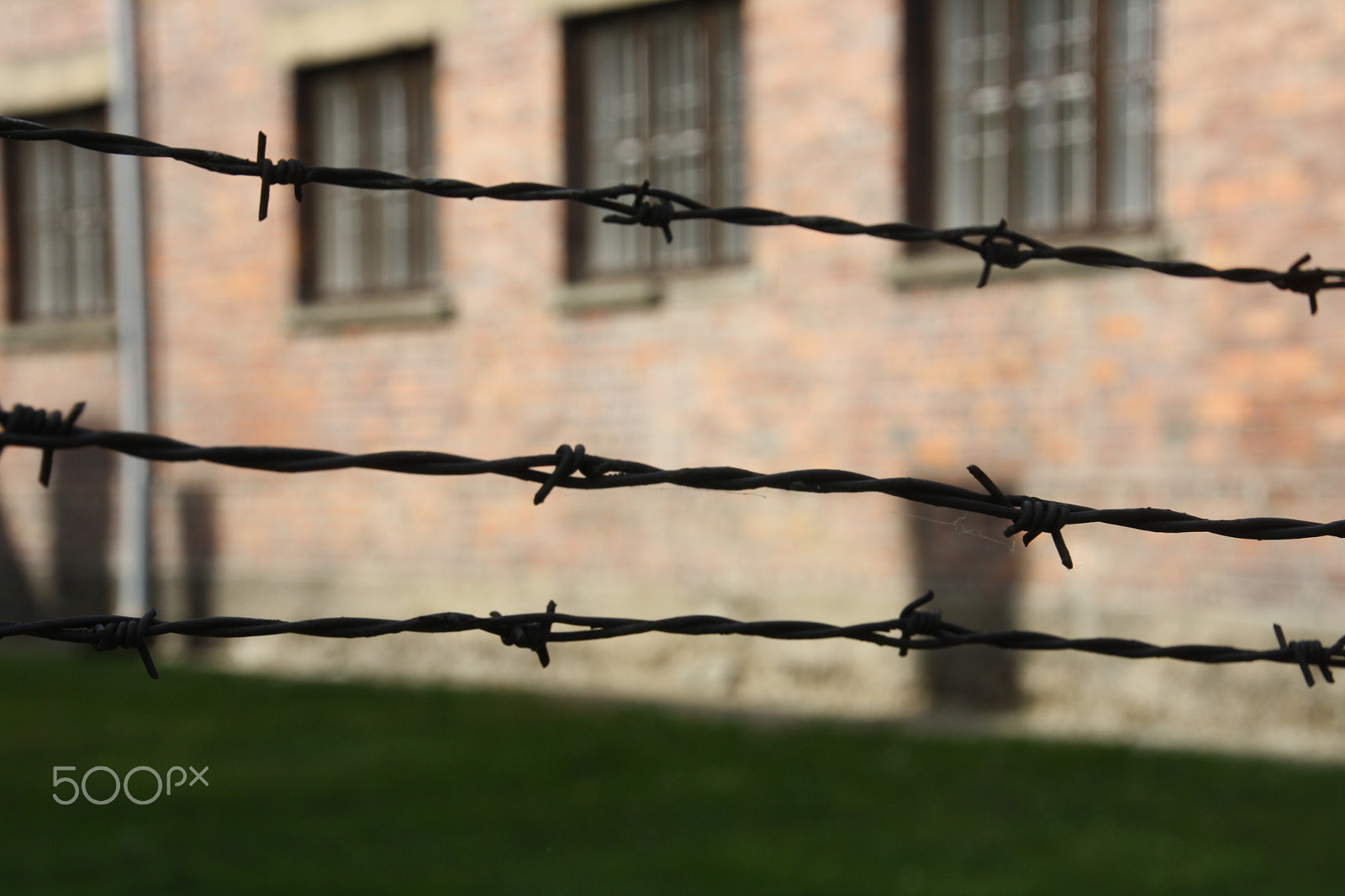 Canon EOS 1000D (EOS Digital Rebel XS / EOS Kiss F) sample photo. Barbed wire photography
