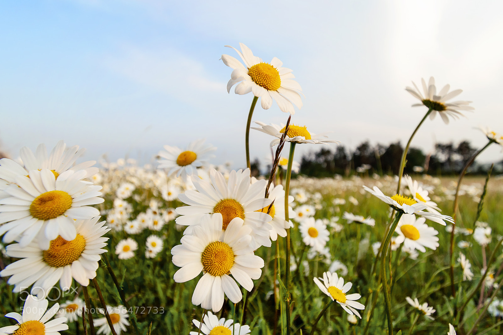 Nikon D7500 sample photo. Dsc photography