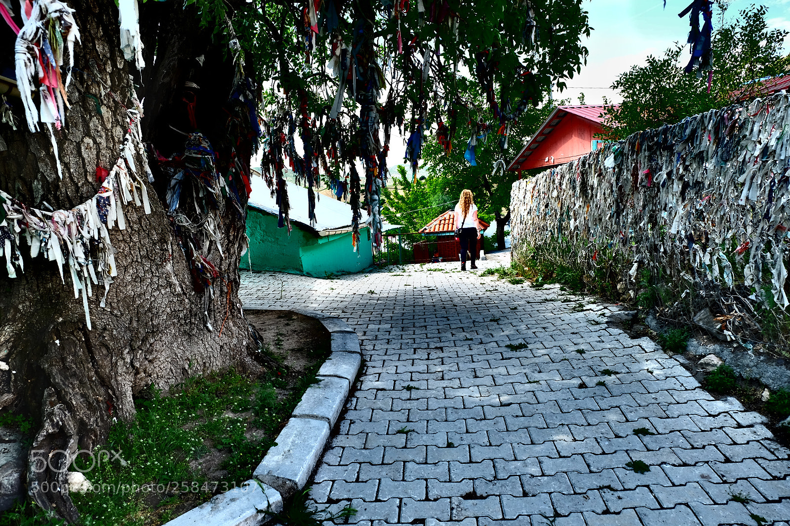 Fujifilm X-E2 sample photo. Wishes and the road photography