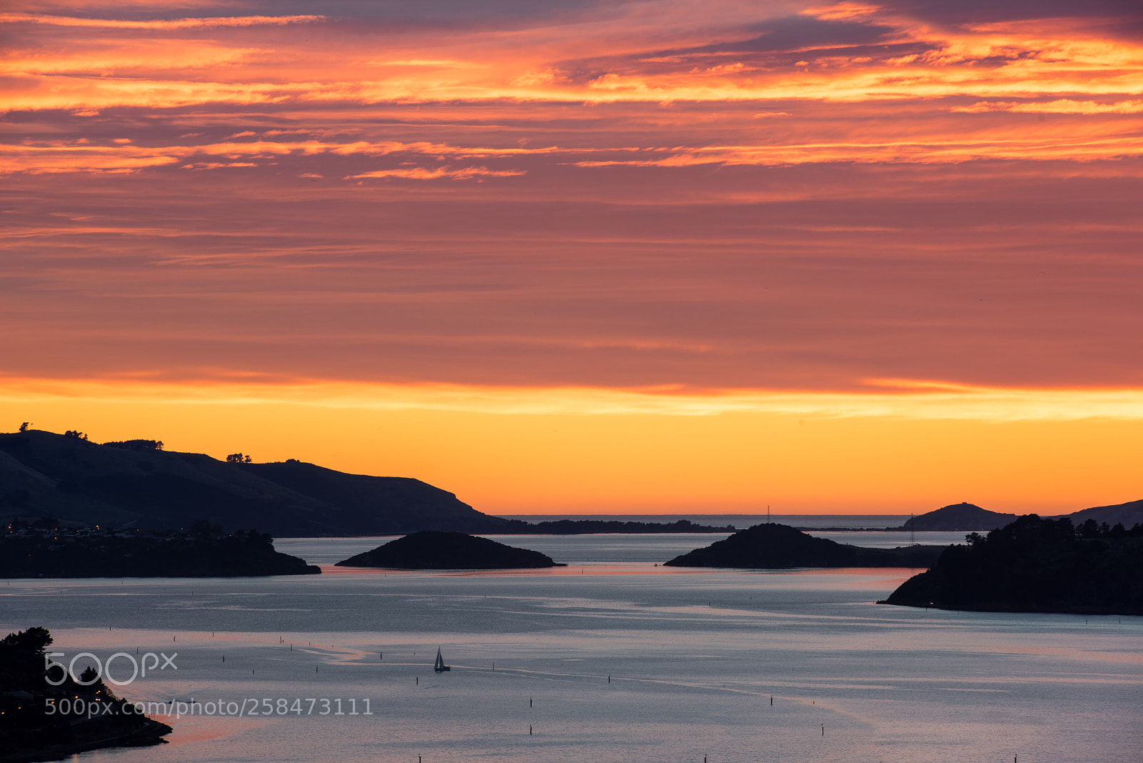 Nikon D810 sample photo. A new day photography