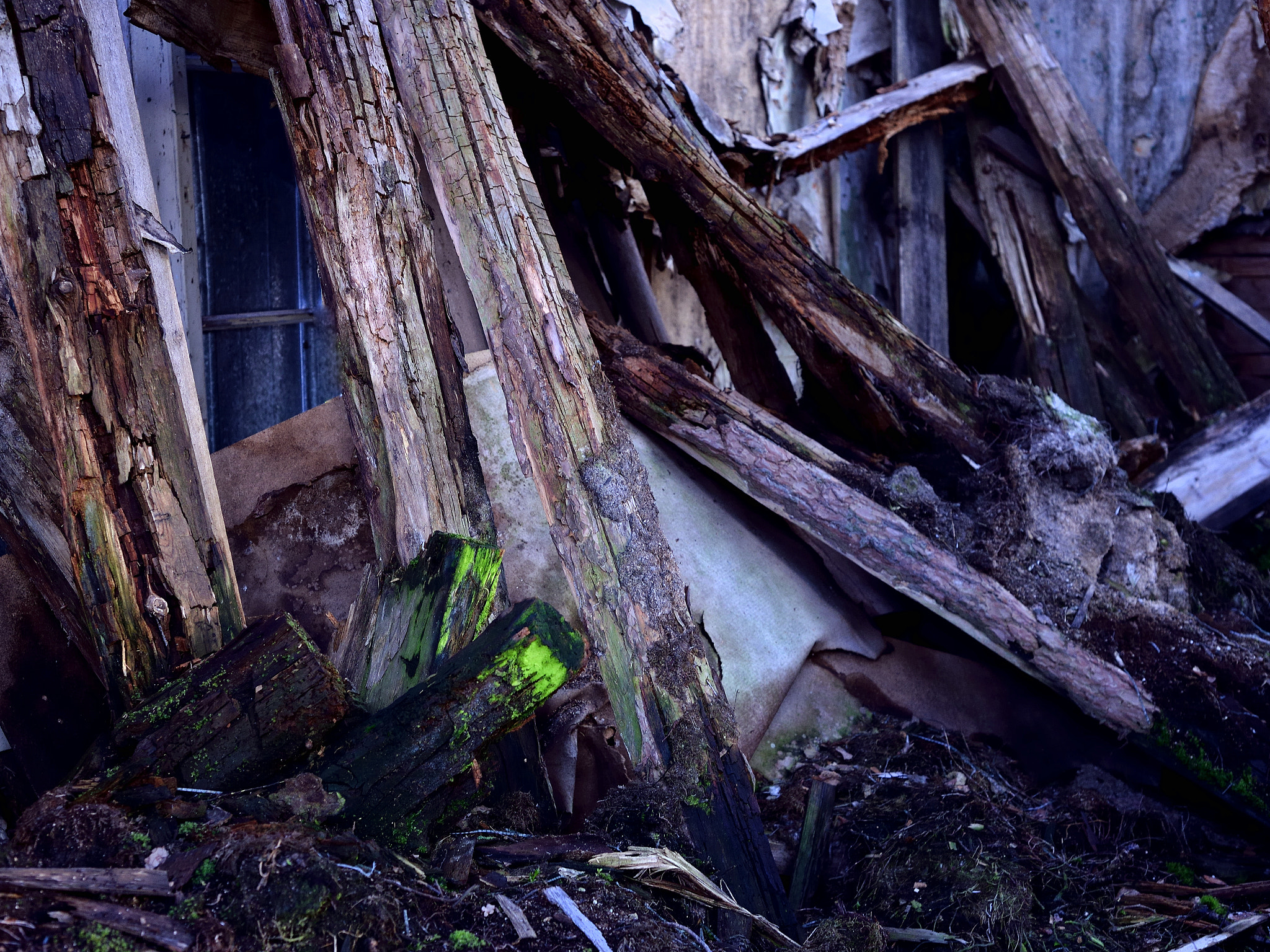 Nikon D610 + Nikon AF Nikkor 50mm F1.8D sample photo. Patterns of decay photography