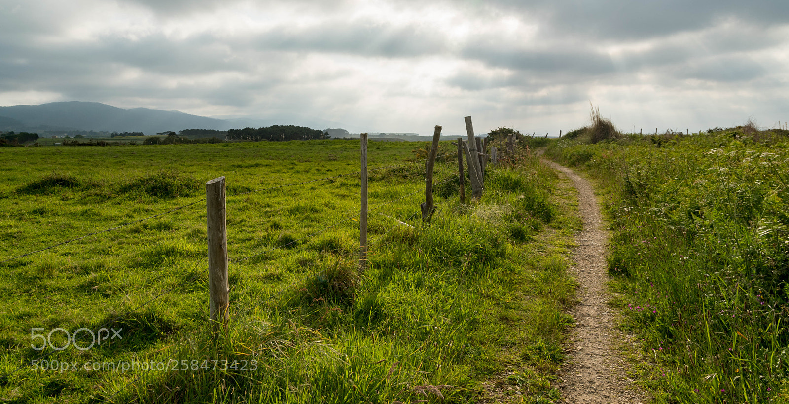 Nikon D5500 sample photo. Carreiro photography