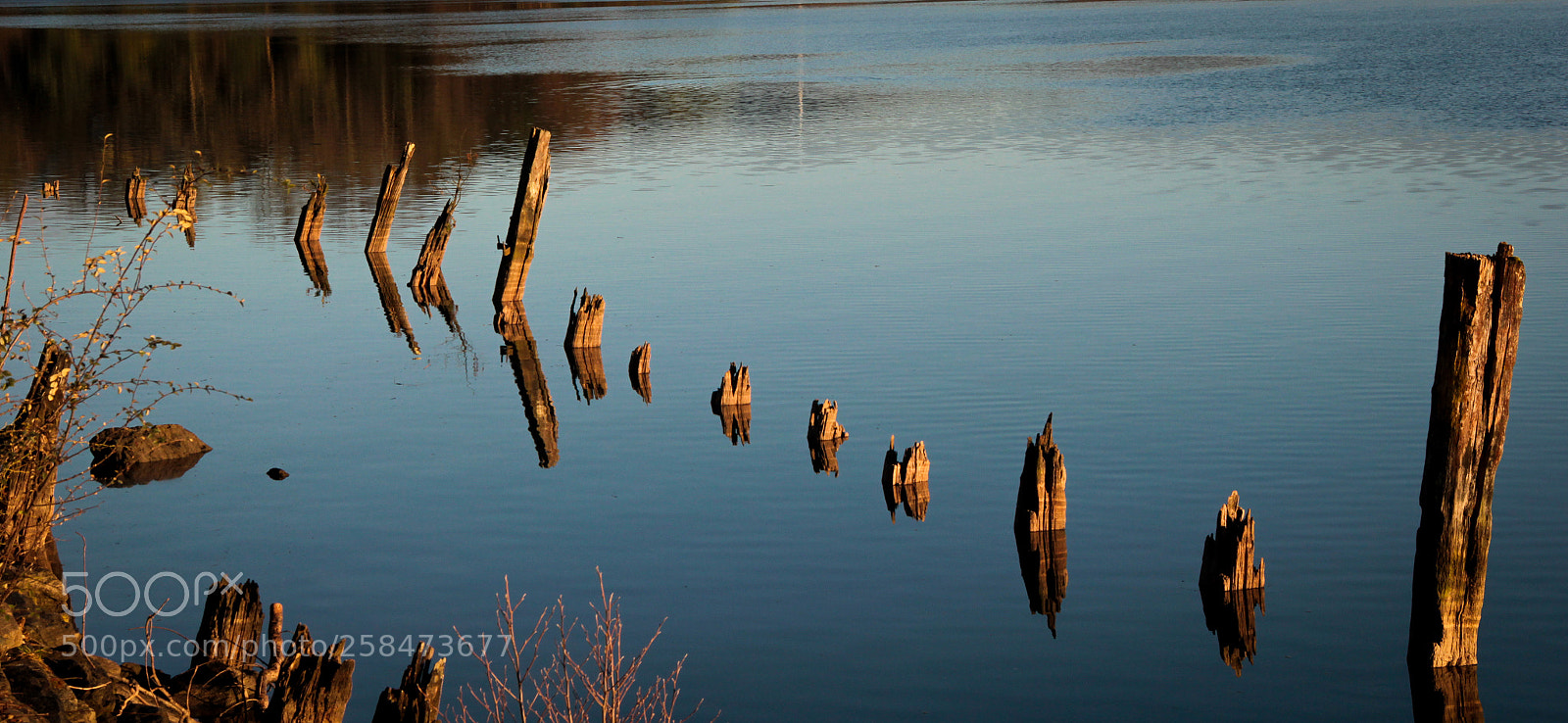 Canon EOS 60D sample photo. Pasado photography