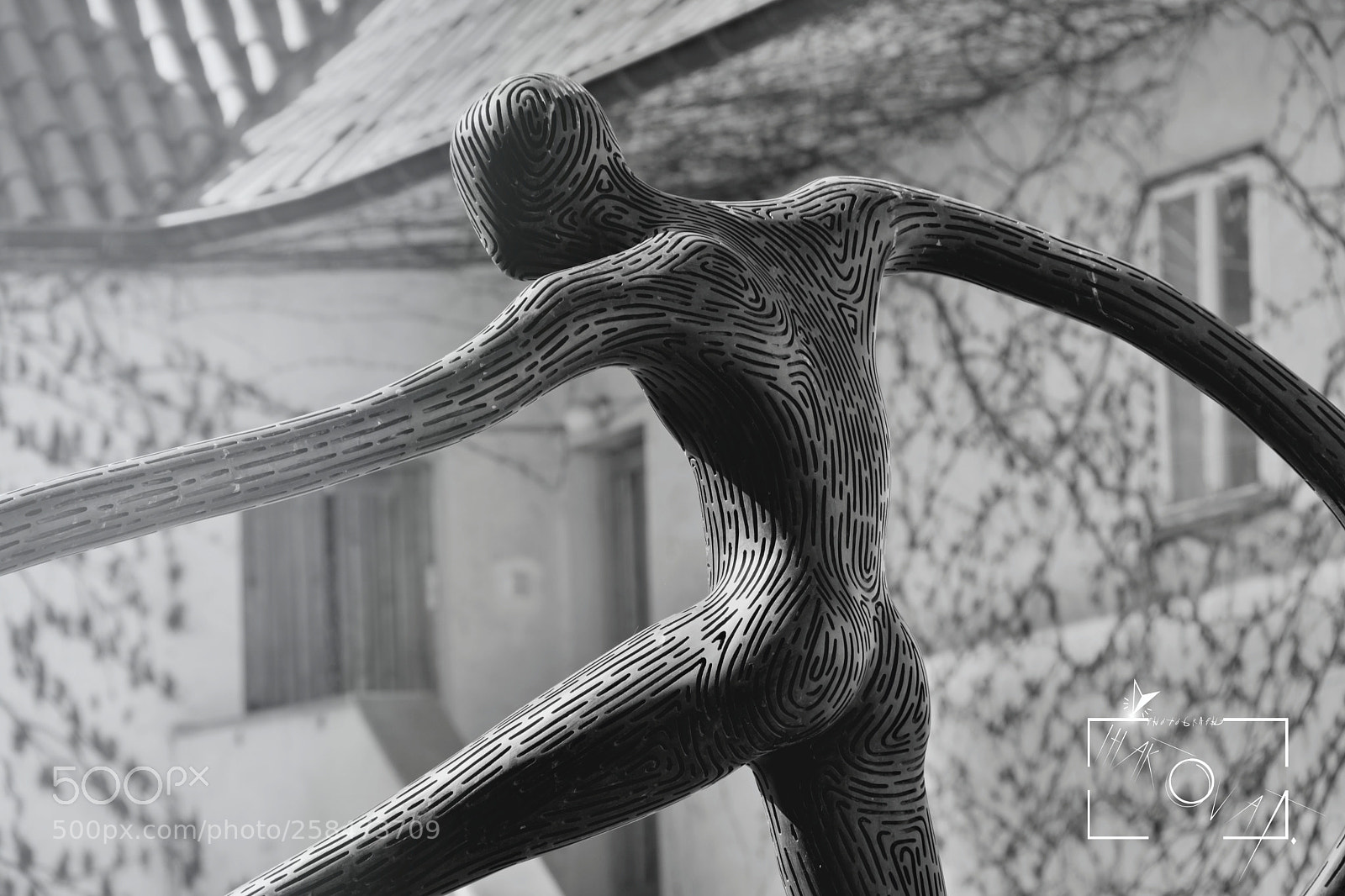 Nikon D5200 sample photo. Untitled photography