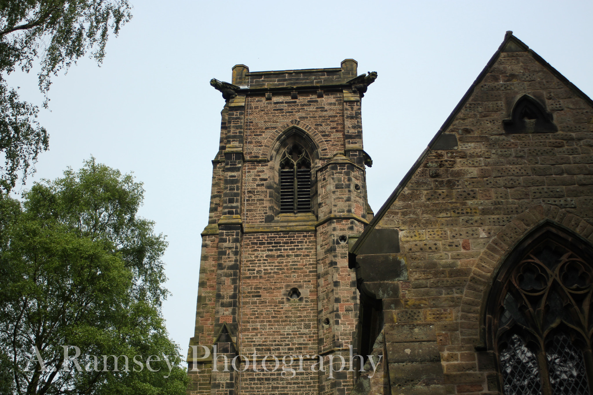 Canon EF 28-80mm f/3.5-5.6 sample photo. Looking upwards photography