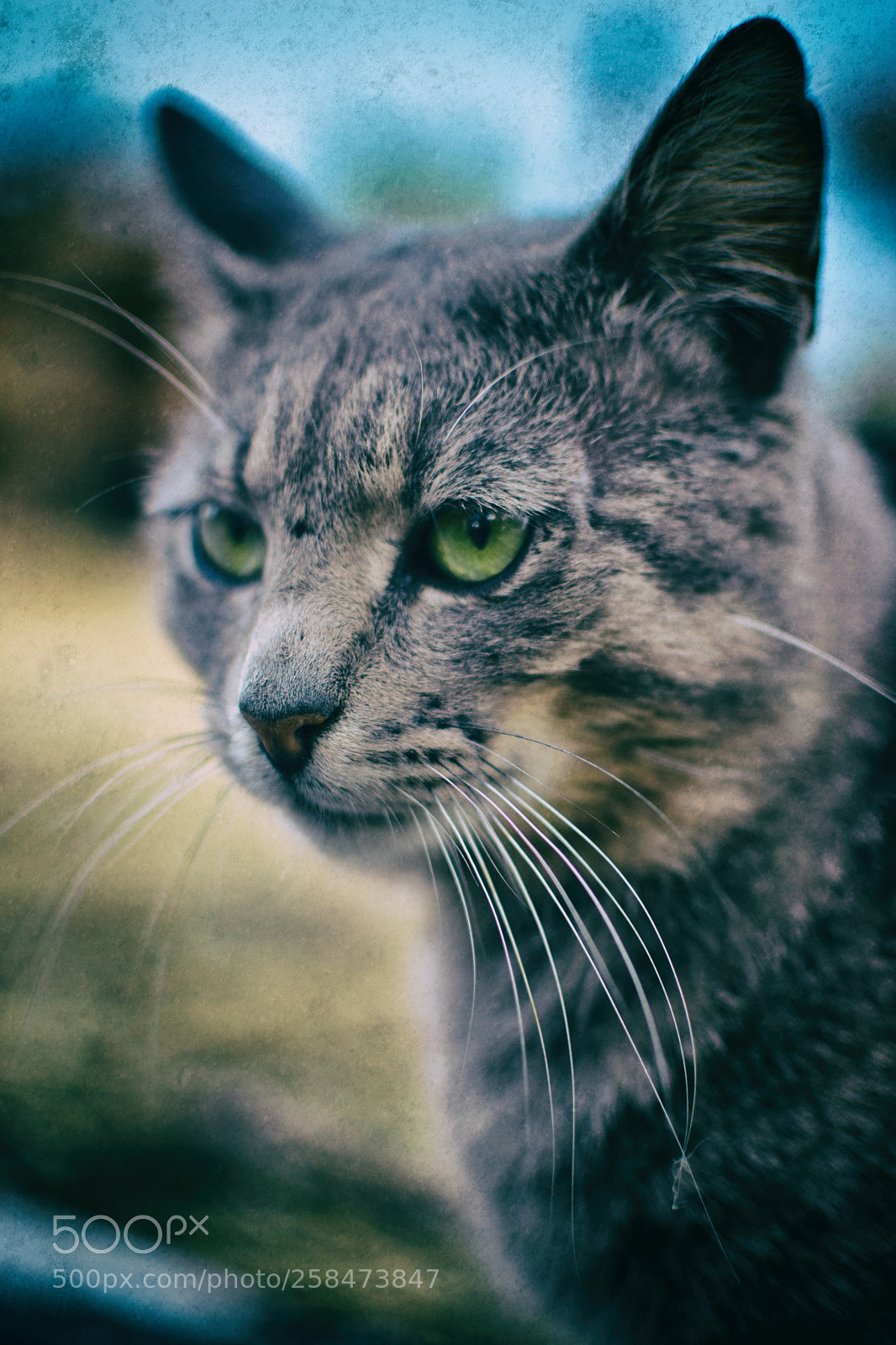 Nikon D5300 sample photo. Untitled photography