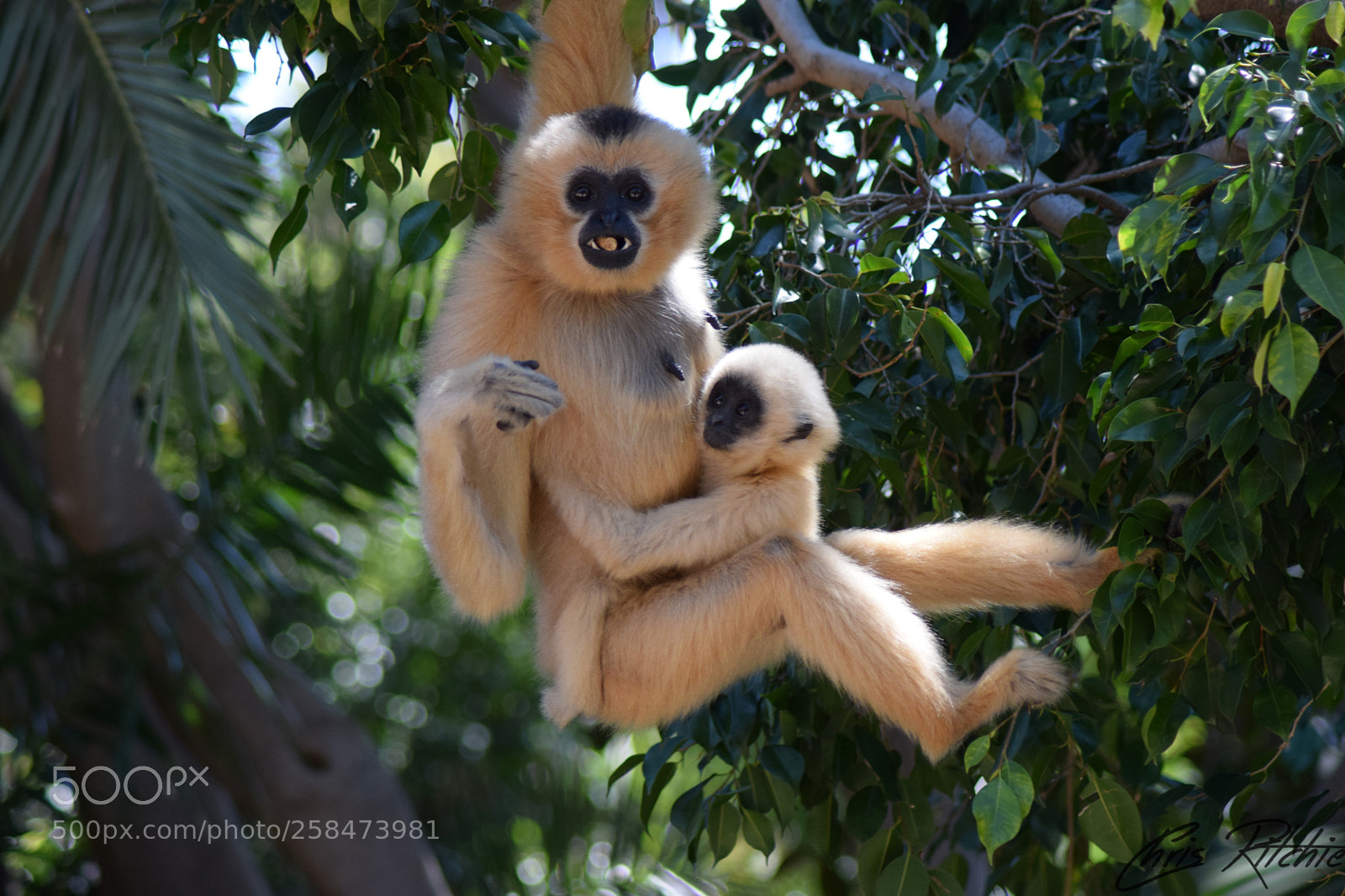 Nikon D3300 sample photo. Hanging around photography