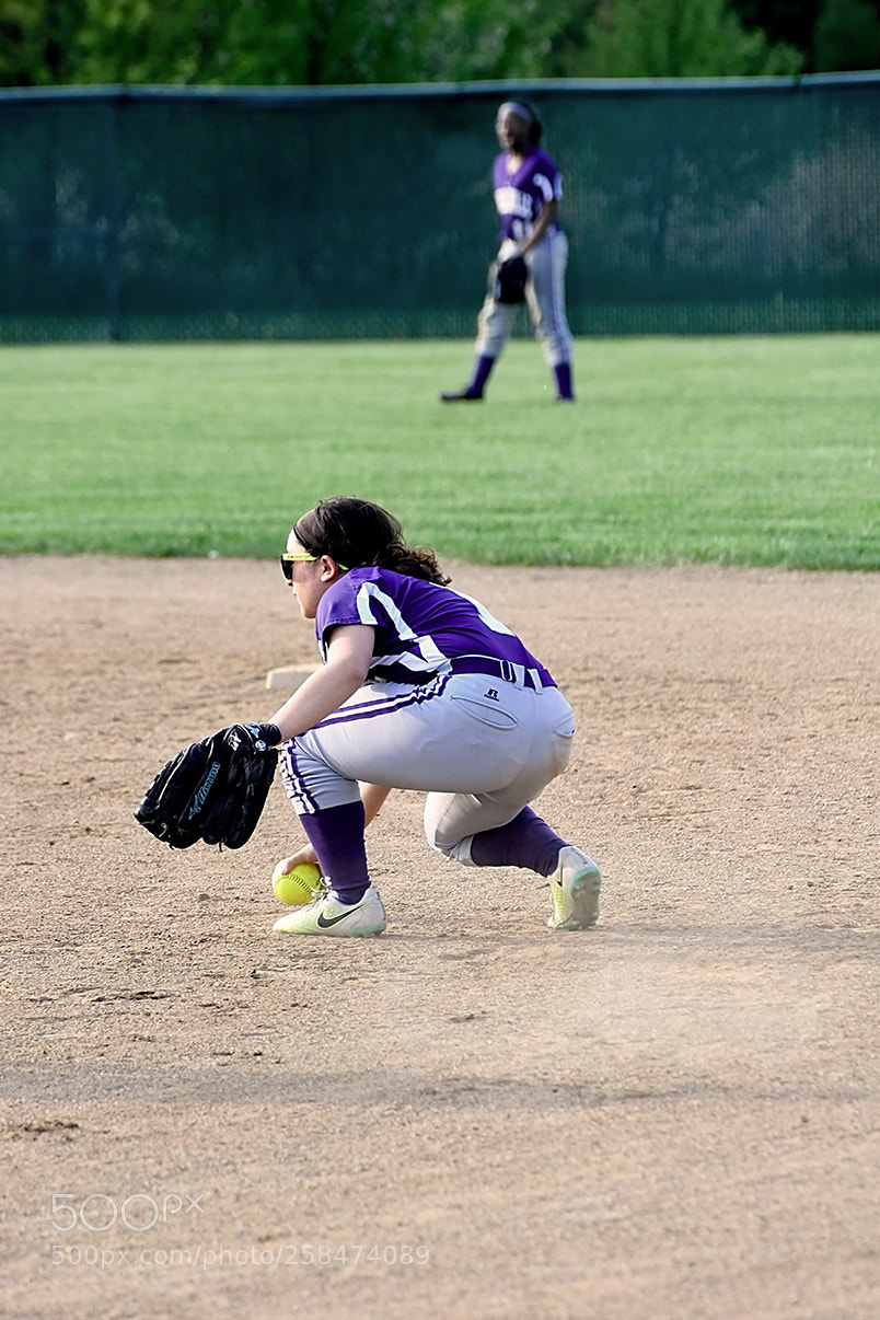 Nikon D500 sample photo. 5-10_0667.jpg photography