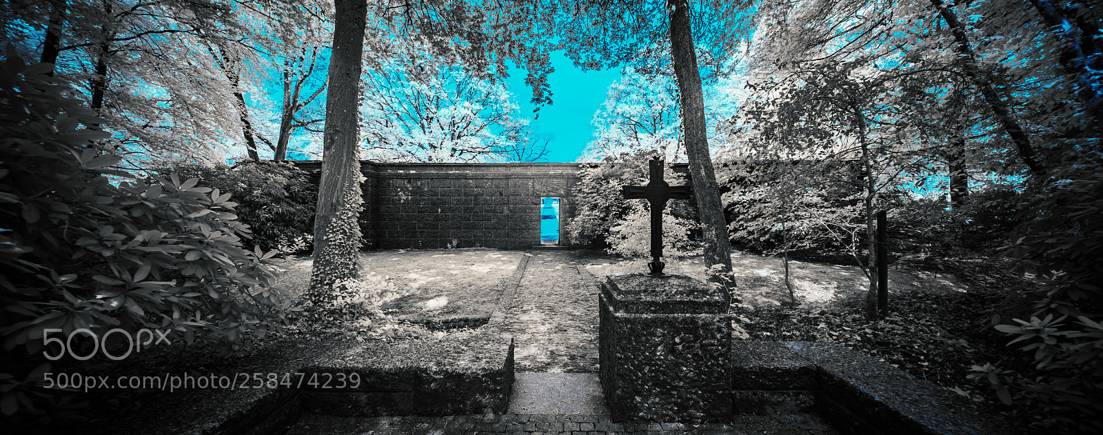 Nikon D810 sample photo. German war cemetry sandweiler photography