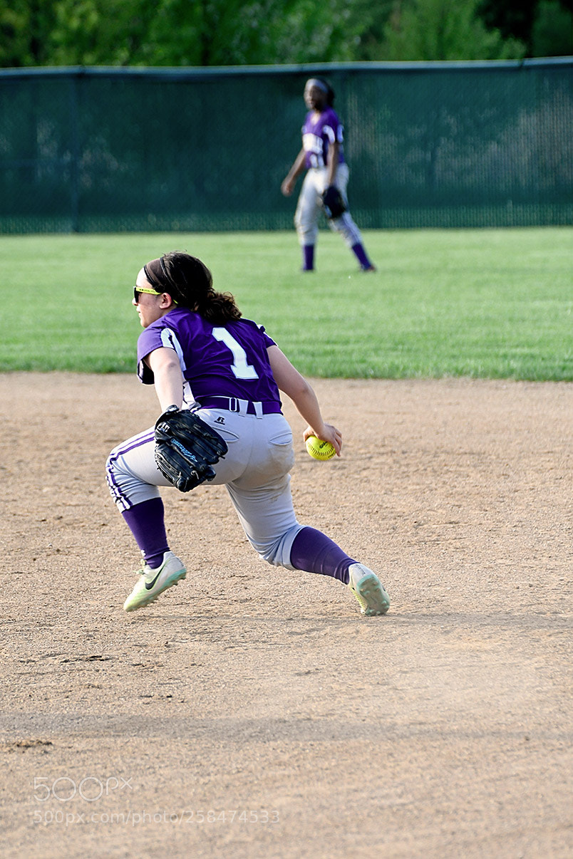 Nikon D500 sample photo. 5-10_0669.jpg photography