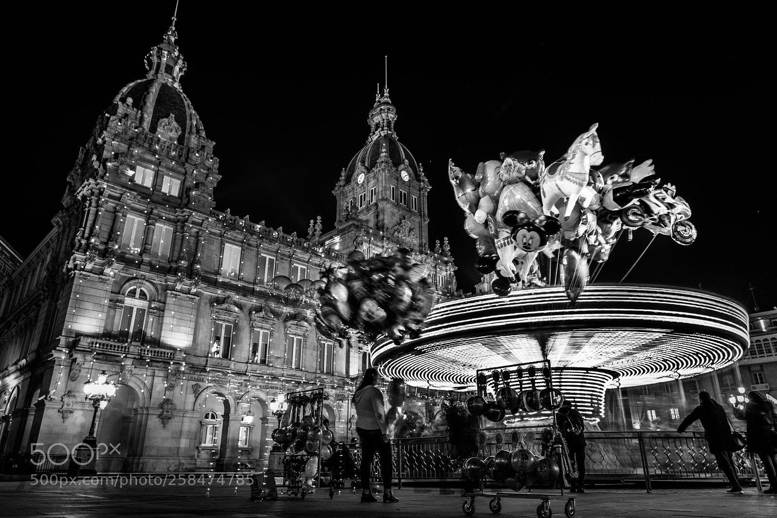 Nikon D5600 sample photo. Christmas carousel photography