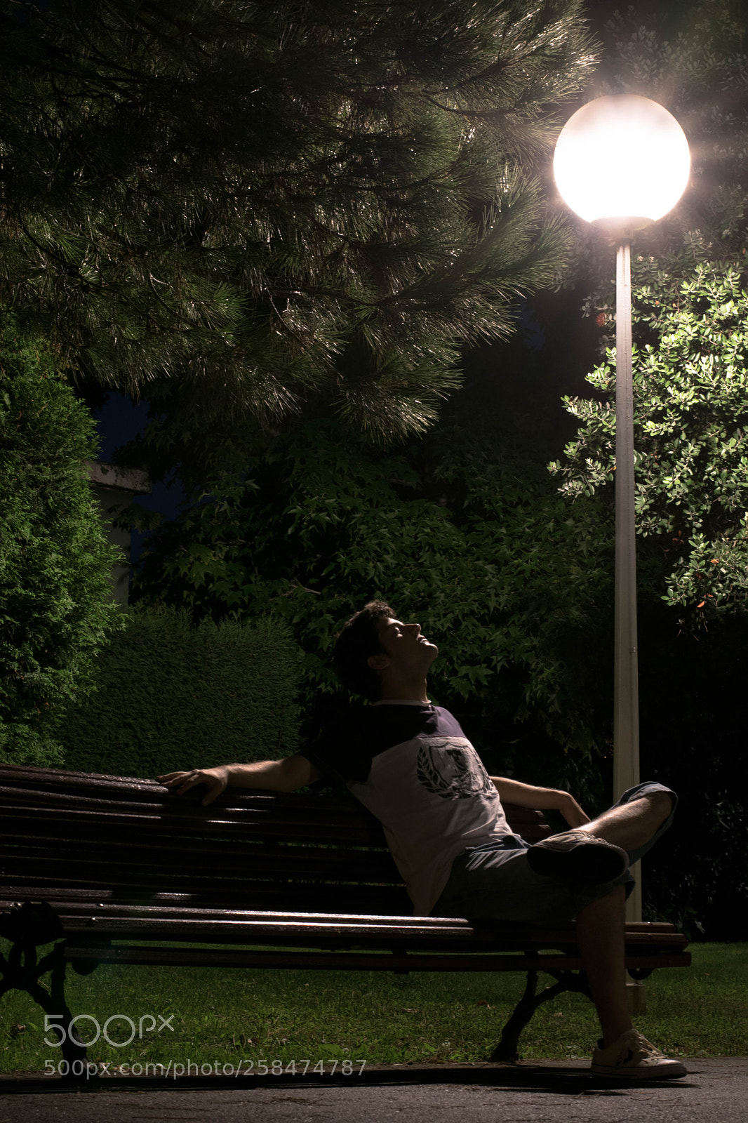 Nikon D3300 sample photo. Urder the light photography