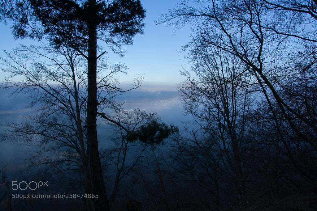 Canon EOS 1000D (EOS Digital Rebel XS / EOS Kiss F) sample photo. The sun is .. photography