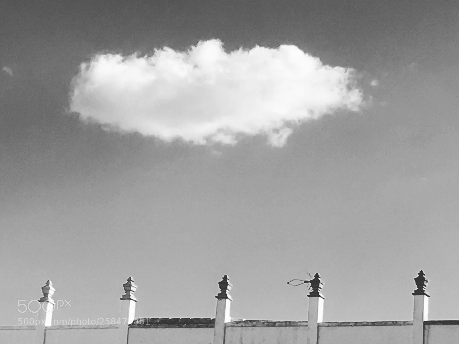 Apple iPhone SE sample photo. Dulces reinos photography