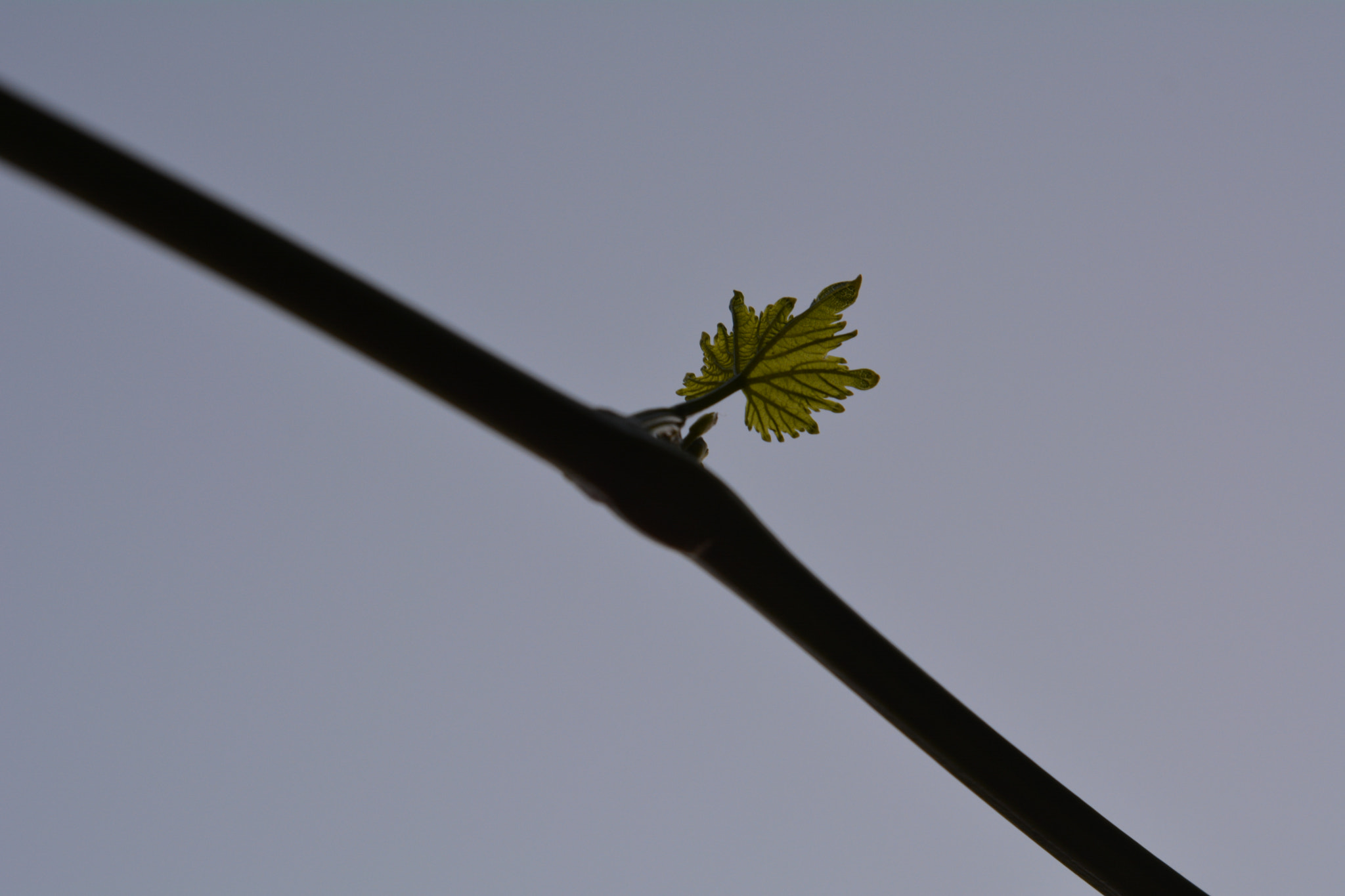 Nikon AF-S Nikkor 24-120mm F4G ED VR sample photo