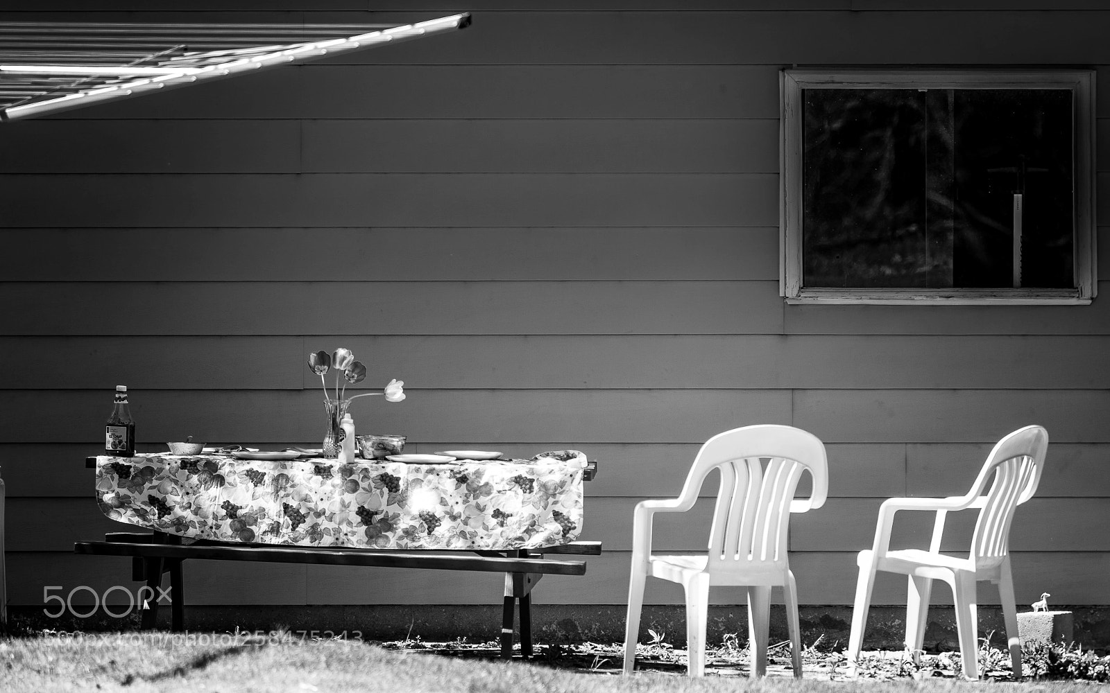 Olympus OM-D E-M1 Mark II sample photo. Chairsandahorse photography