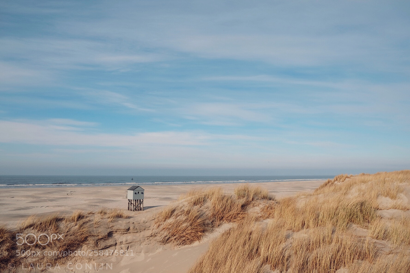 Fujifilm X-T20 sample photo. In the last sunlight photography