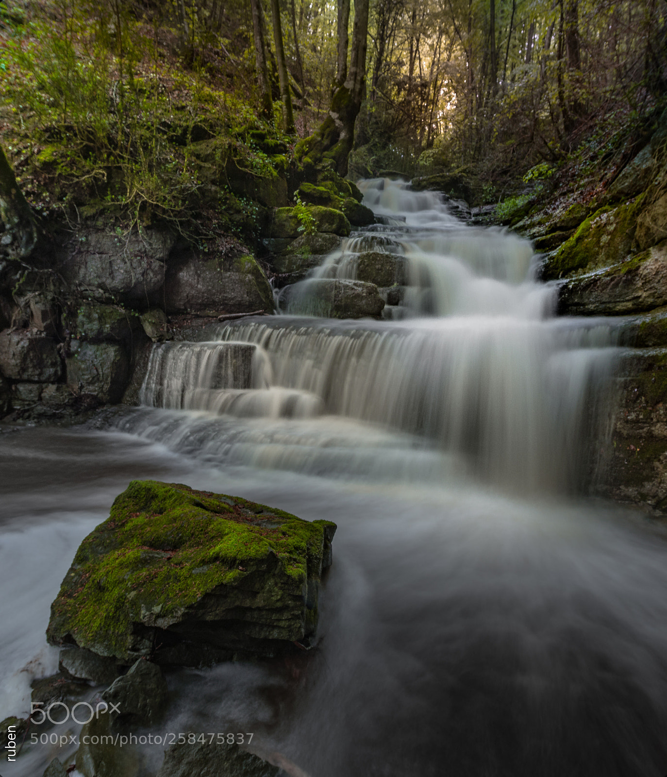 Nikon D610 sample photo. The beauty of nature photography