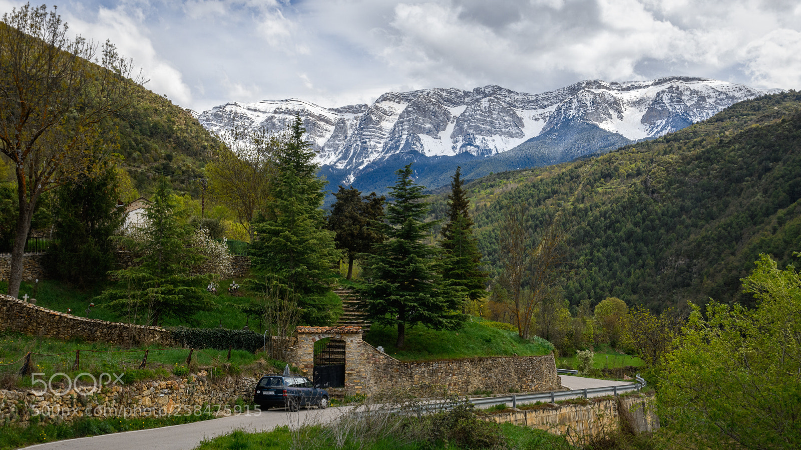 Nikon D850 sample photo. On the road to photography