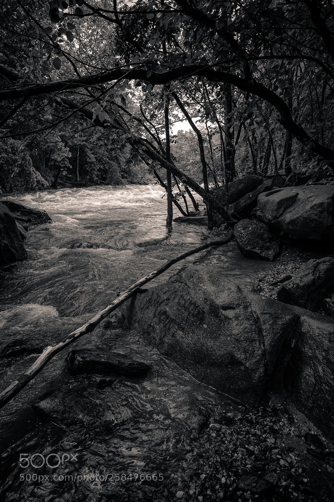 Fujifilm X-Pro2 sample photo. Patapsco in rain. photography