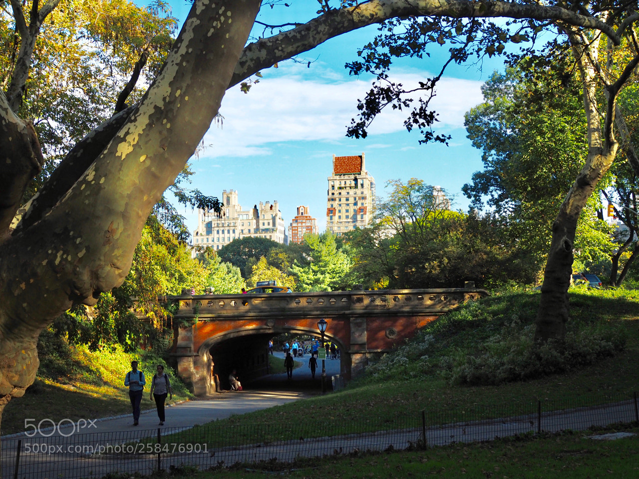 Olympus OM-D E-M5 II sample photo. New york central park photography