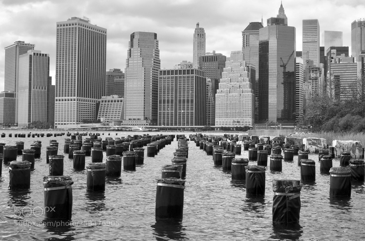 Olympus OM-D E-M5 II sample photo. New york view from photography