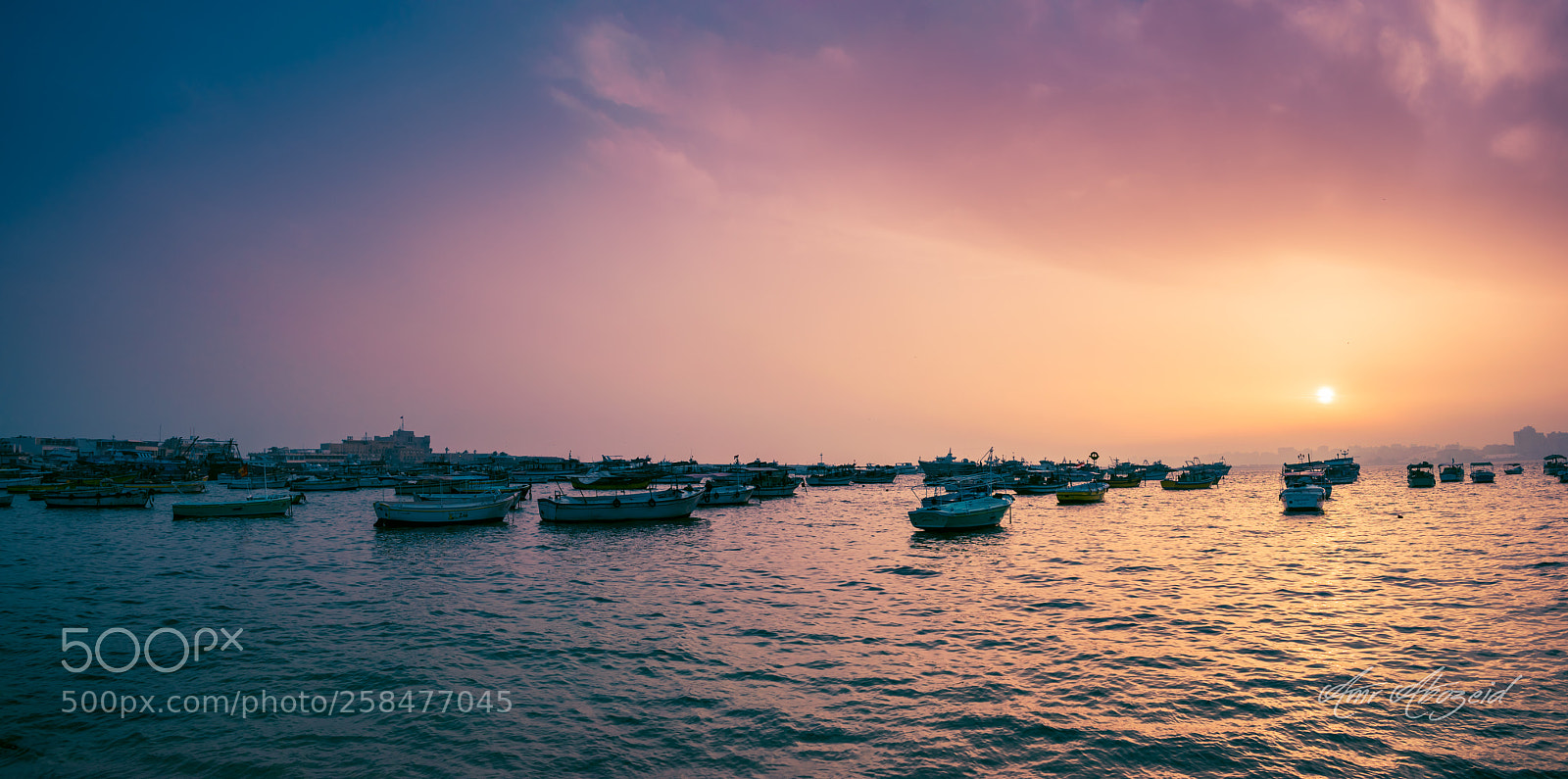 Nikon D5300 sample photo. Alexandria ❤️ photography