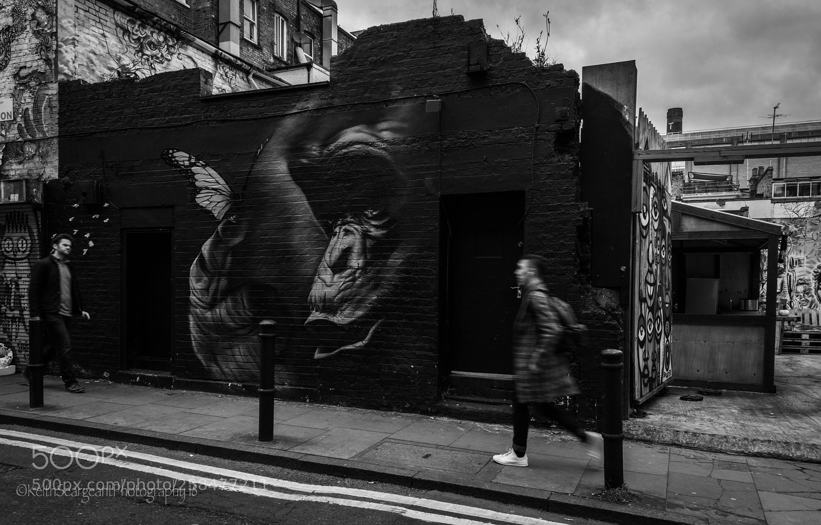 Nikon D800 sample photo. Gorilla graffiti. photography