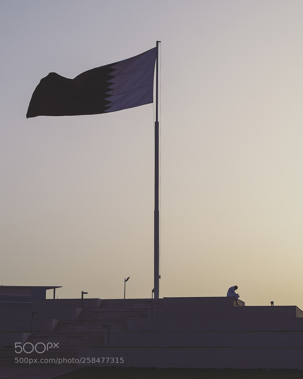 Nikon D5100 sample photo. Theflag photography