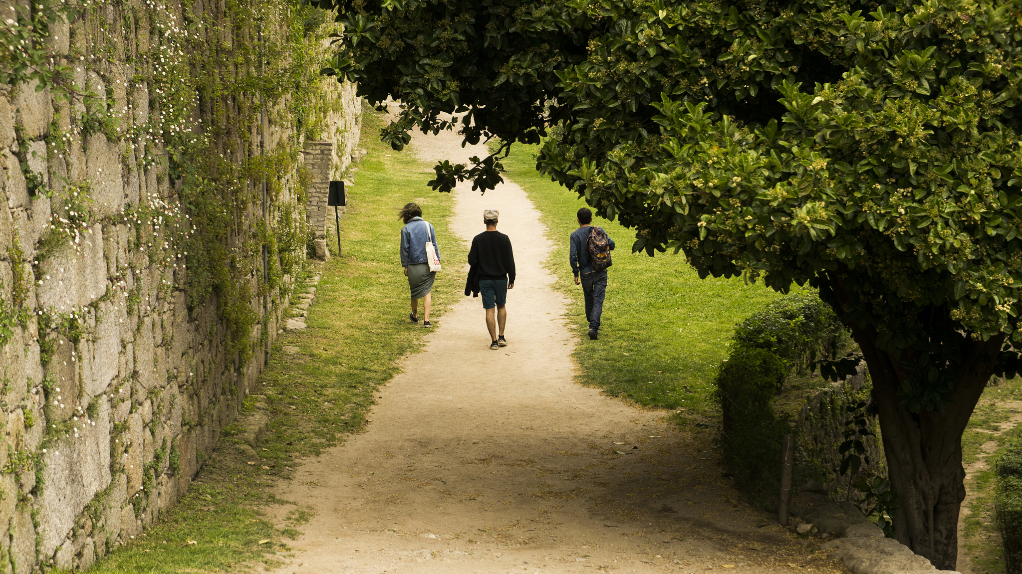 Sony Alpha NEX-5N sample photo. Virtudes walk photography