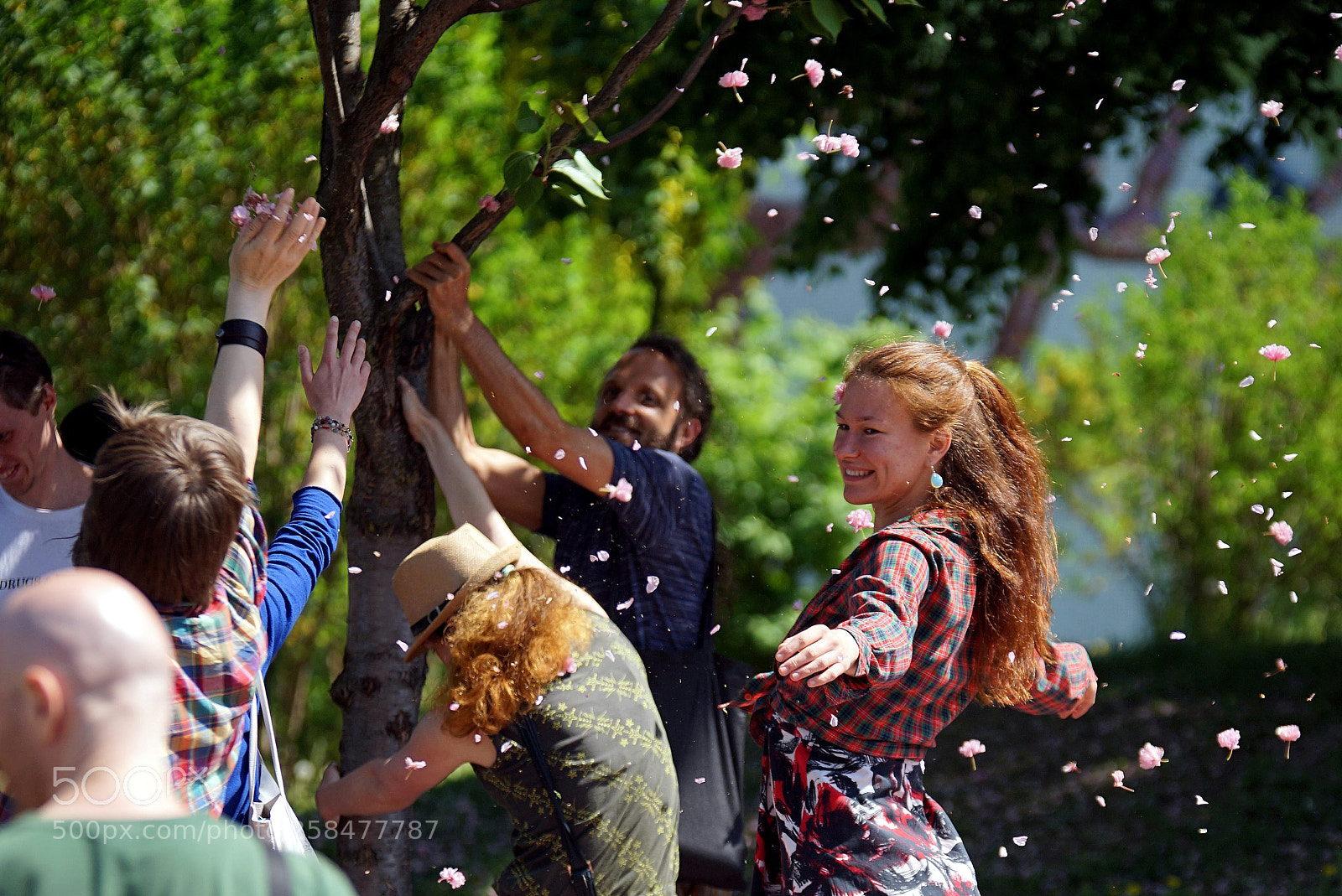 Sony a7 II sample photo. Blossom dance photography