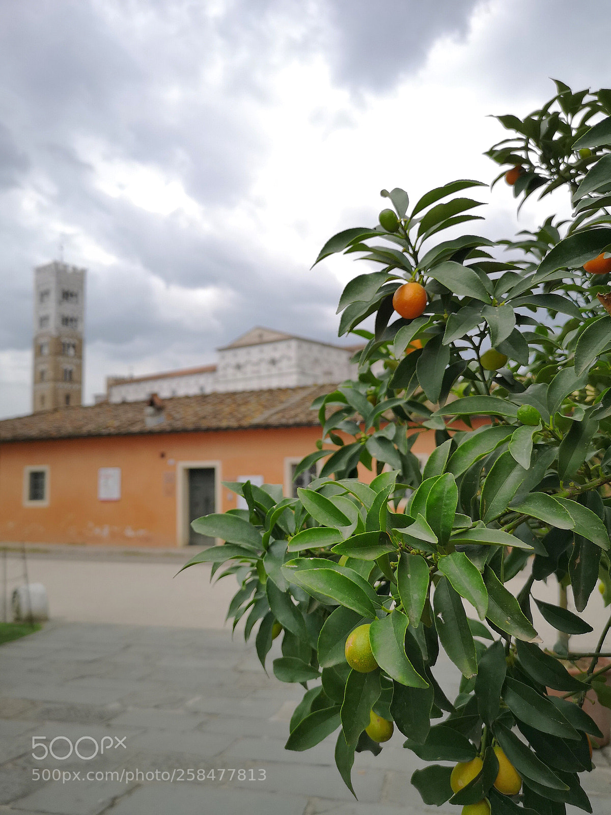 HUAWEI CLT-L29 sample photo. Lucca - italy photography