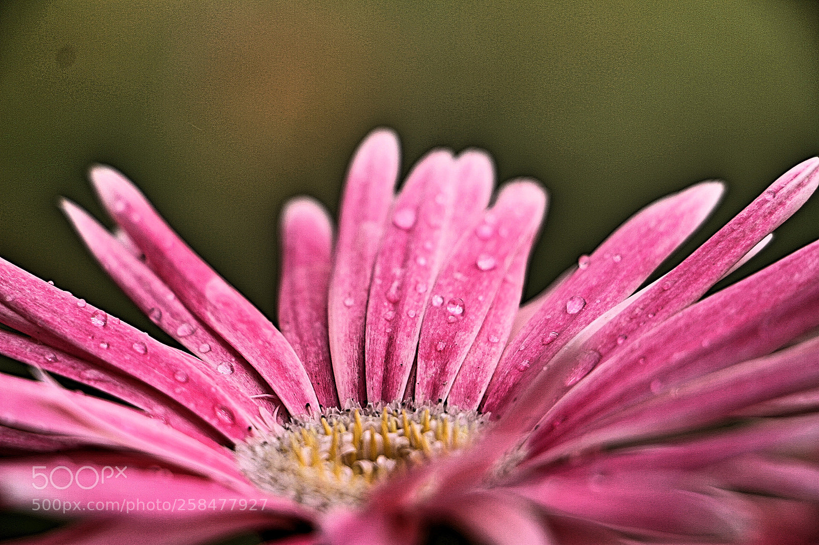 Canon EOS 7D sample photo. Drops 10 photography