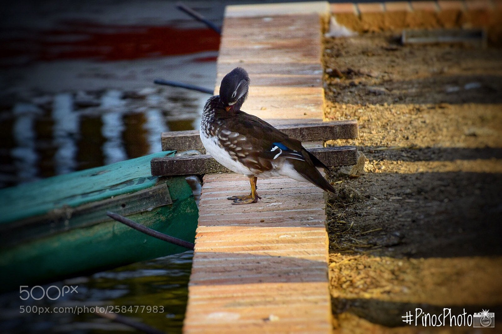 Nikon D5300 sample photo. Untitled photography