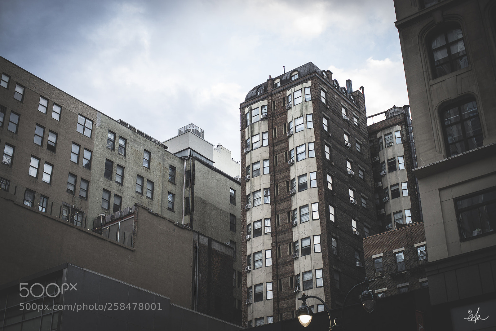 Nikon D600 sample photo. Amerique eda photography