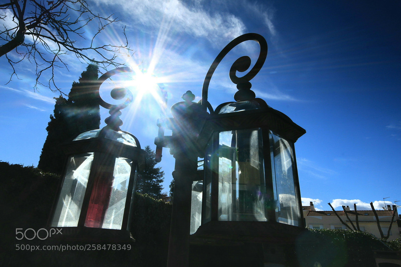 Canon EOS 700D (EOS Rebel T5i / EOS Kiss X7i) sample photo. Autentica luz. photography