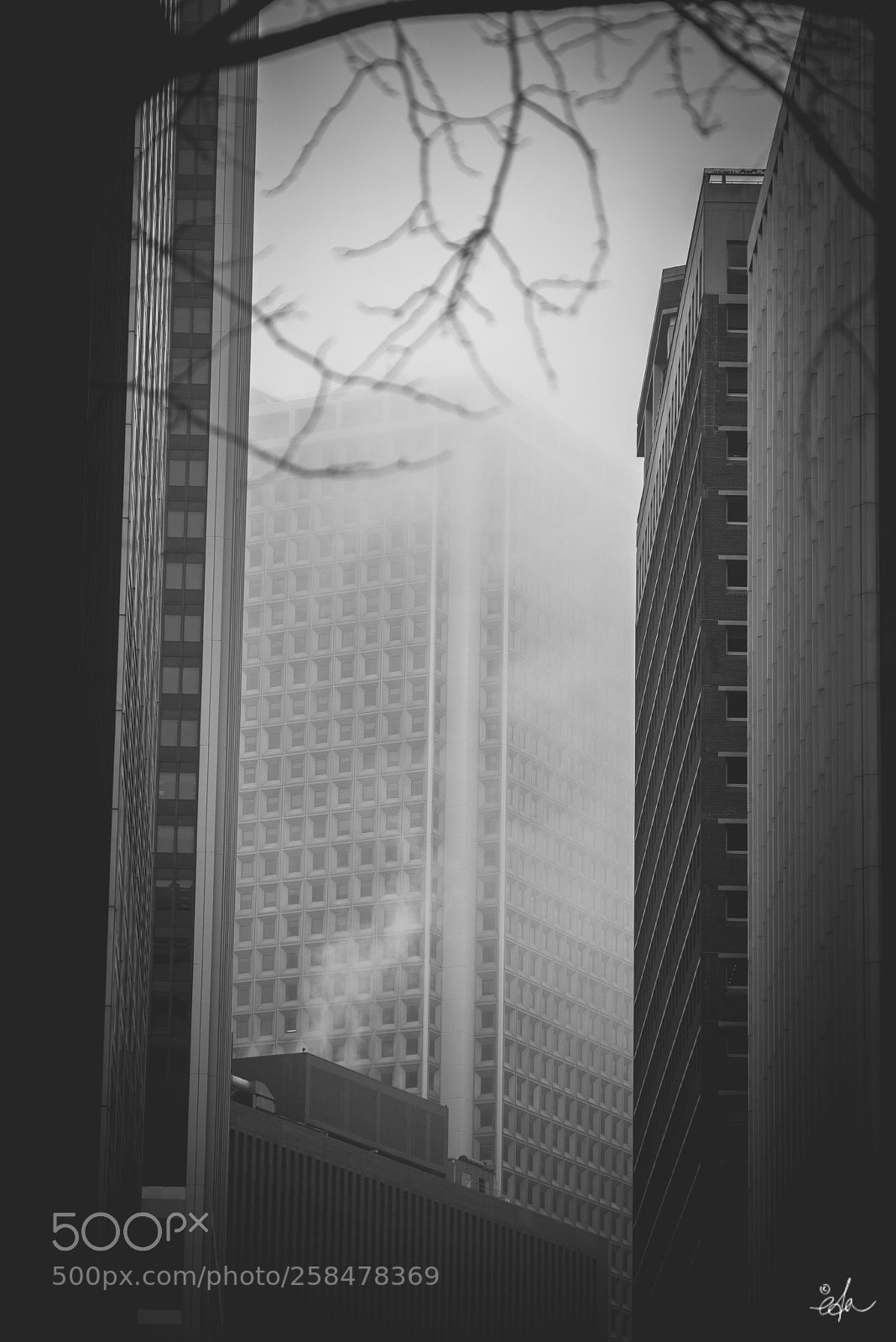 Nikon D600 sample photo. Amerique eda photography