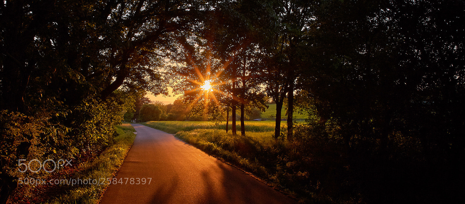 Canon EOS 6D sample photo. This direction photography