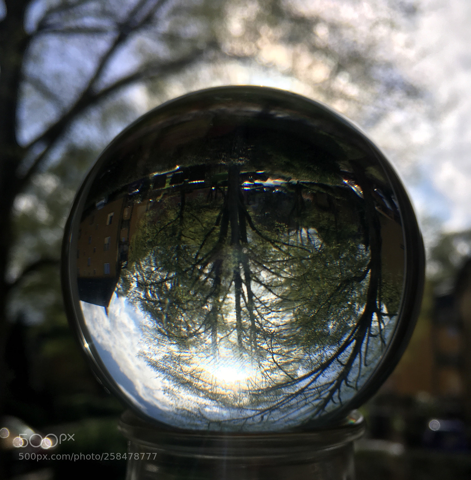 Apple iPhone SE sample photo. ?? photography