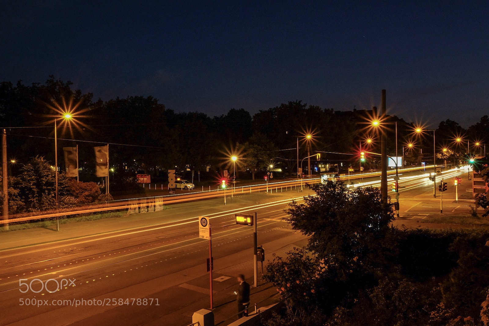Fujifilm X-T20 sample photo. Untitled photography